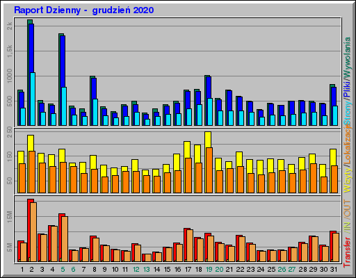 Raport Dzienny -  grudzień 2020