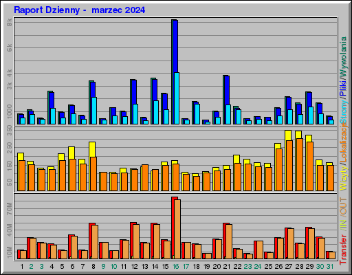 Raport Dzienny -  marzec 2024