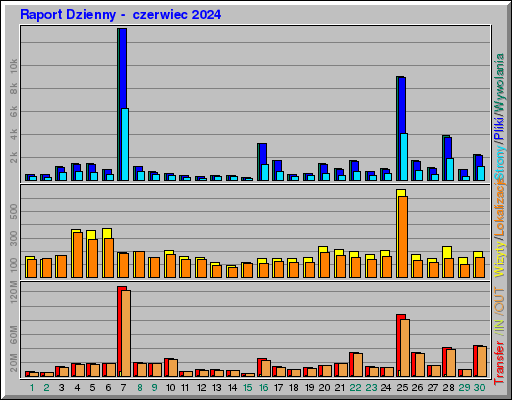 Raport Dzienny -  czerwiec 2024