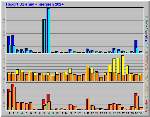 Raport Dzienny -  sierpień 2024