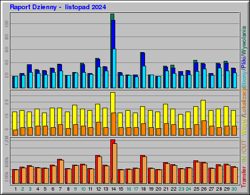 Raport Dzienny -  listopad 2024