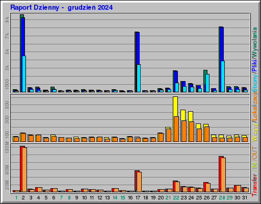 Raport Dzienny -  grudzień 2024