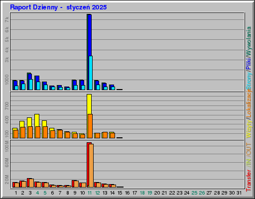 Raport Dzienny -  styczeń 2025