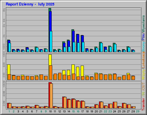 Raport Dzienny -  luty 2025