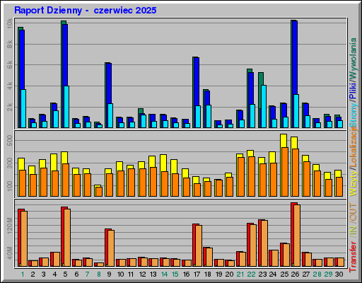 Raport Dzienny -  czerwiec 2025