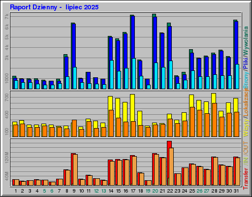 Raport Dzienny -  lipiec 2025