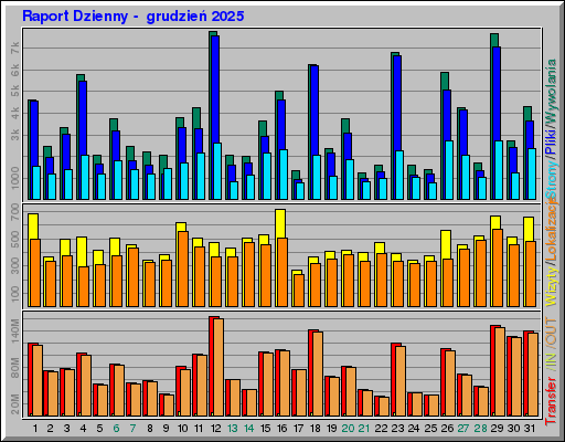 Raport Dzienny -  grudzień 2025