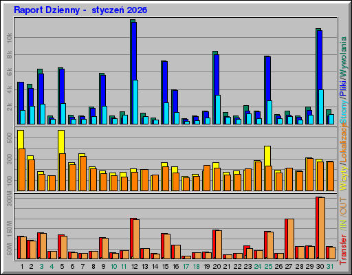 Raport Dzienny -  styczeń 2026
