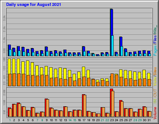 Raport Dzienny -  sierpień 2021
