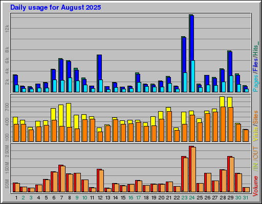 Raport Dzienny -  sierpień 2025