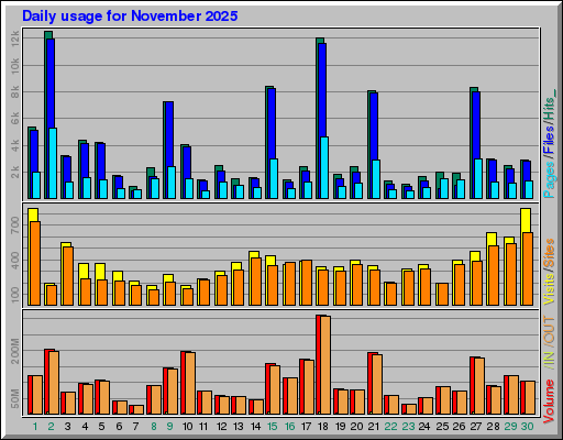 Raport Dzienny -  listopad 2025