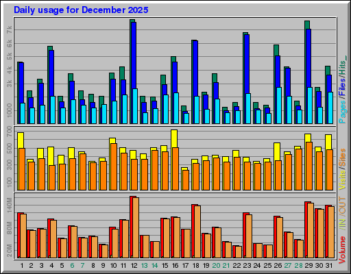 Raport Dzienny -  grudzień 2025