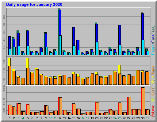 Raport Dzienny -  styczeń 2026