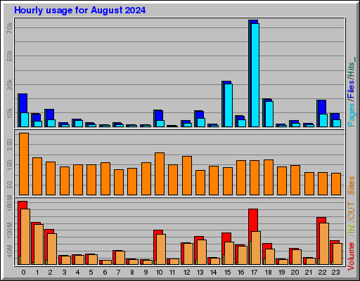 Raport Godzinowy -  sierpień 2024