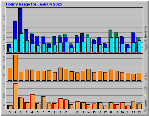 Raport Godzinowy - styczeń 2025 Raport Godzinowy - styczeń 2025