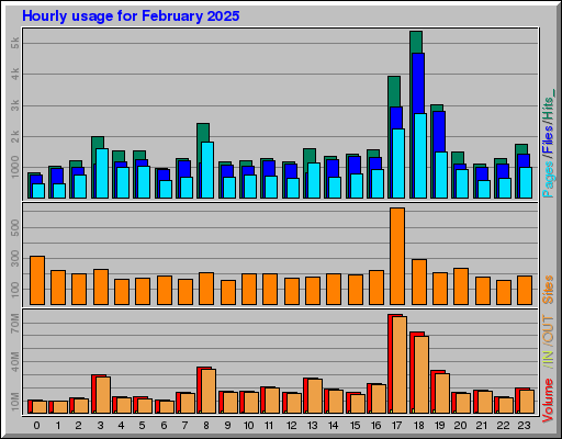 Raport Godzinowy -  luty 2025