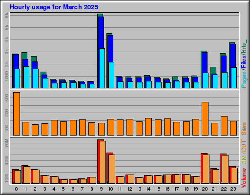Raport Godzinowy -  marzec 2025
