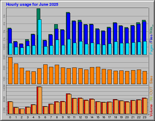 Raport Godzinowy -  czerwiec 2025