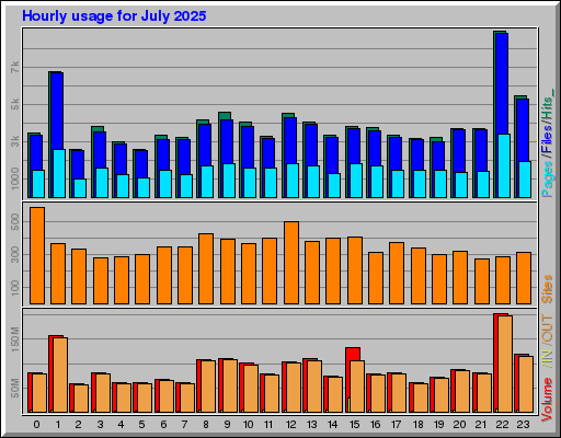 Raport Godzinowy -  lipiec 2025