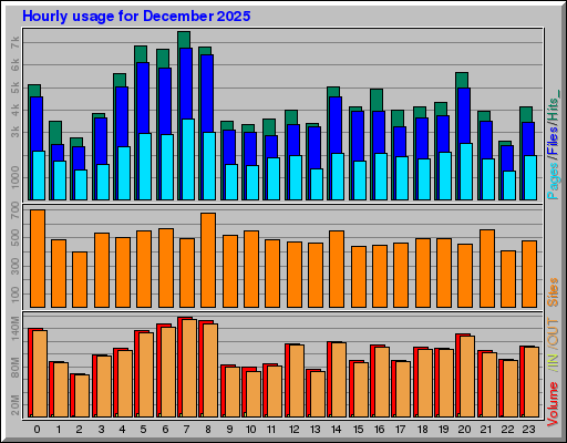 Raport Godzinowy -  grudzień 2025