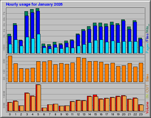 Raport Godzinowy -  styczeń 2026