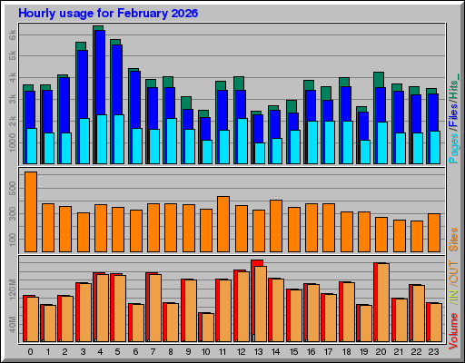 Raport Godzinowy -  luty 2026