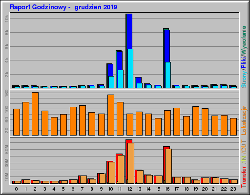 Raport Godzinowy -  grudzień 2019