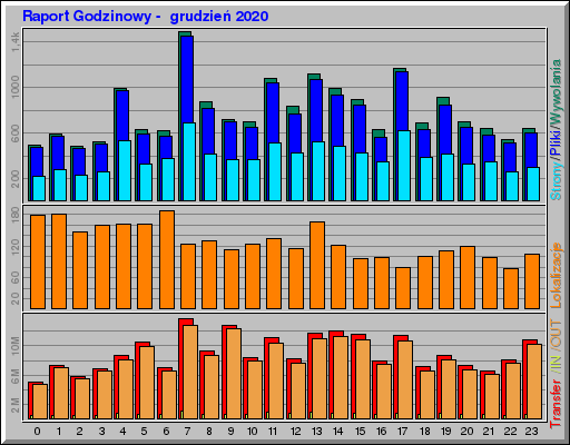 Raport Godzinowy -  grudzień 2020