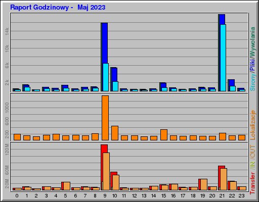 Raport Godzinowy -  Maj 2023