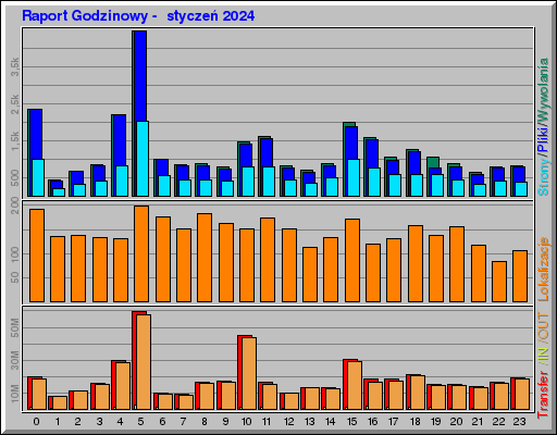 Raport Godzinowy -  styczeń 2024