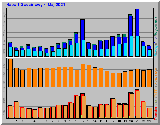 Raport Godzinowy -  Maj 2024