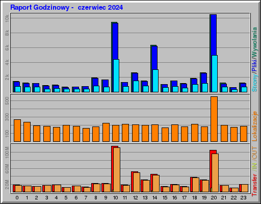 Raport Godzinowy -  czerwiec 2024