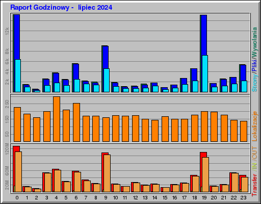 Raport Godzinowy -  lipiec 2024