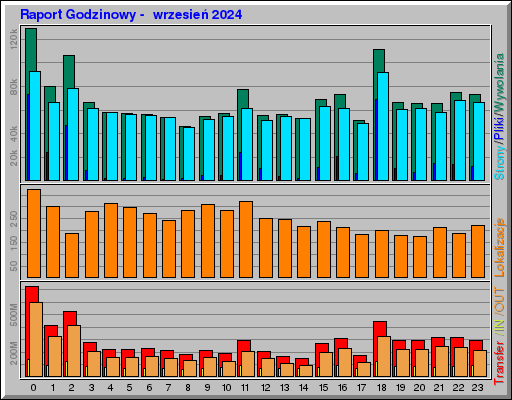 Raport Godzinowy -  wrzesień 2024