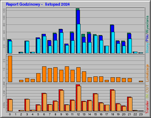 Raport Godzinowy -  listopad 2024