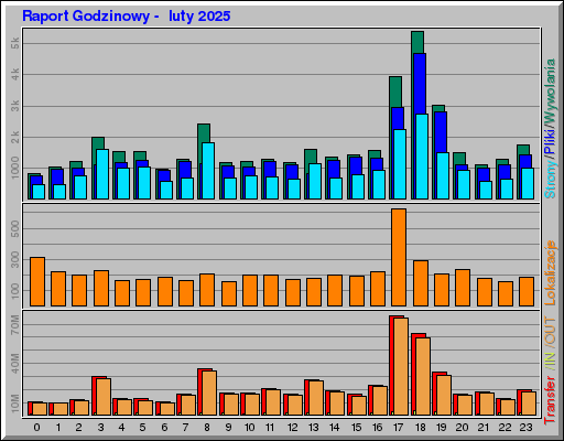 Raport Godzinowy -  luty 2025