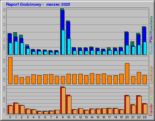 Raport Godzinowy -  marzec 2025