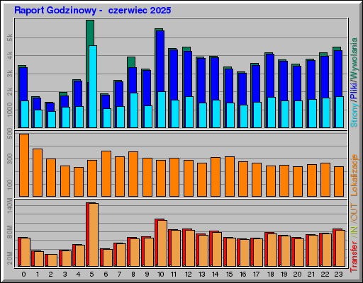 Raport Godzinowy -  czerwiec 2025