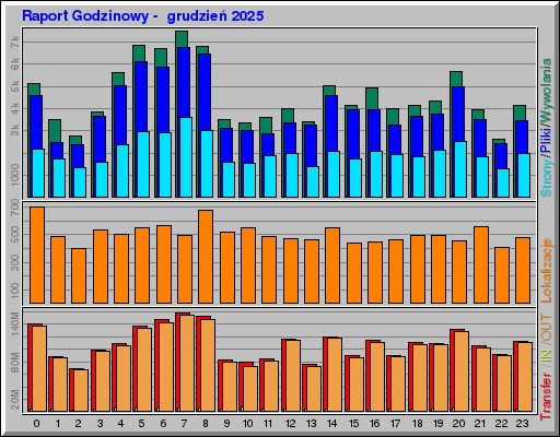Raport Godzinowy -  grudzień 2025