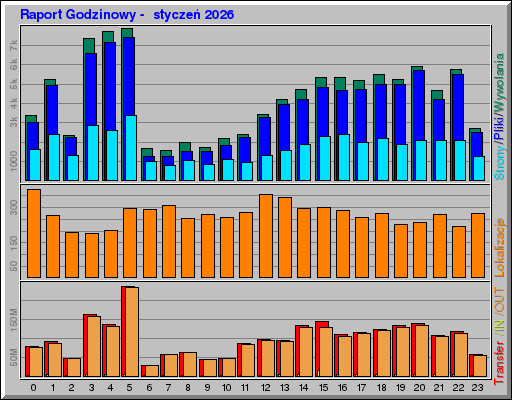 Raport Godzinowy -  styczeń 2026