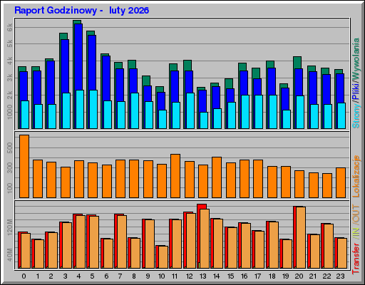 Raport Godzinowy -  luty 2026