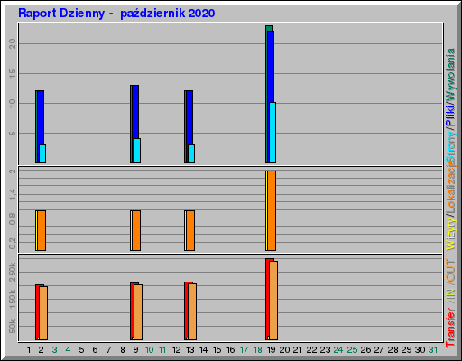 Raport Dzienny -  październik 2020