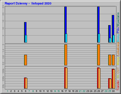 Raport Dzienny -  listopad 2020