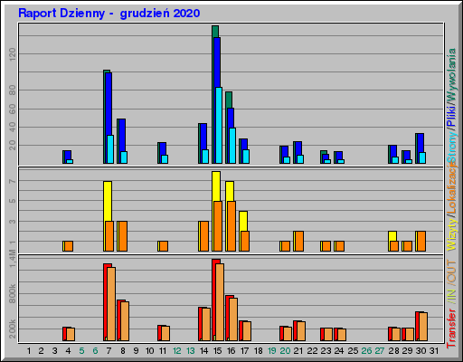 Raport Dzienny -  grudzień 2020