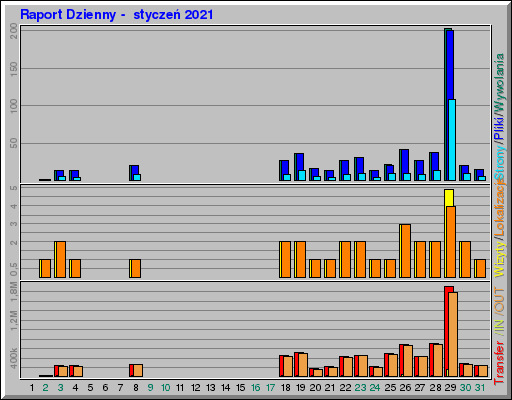 Raport Dzienny -  styczeń 2021