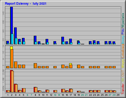 Raport Dzienny -  luty 2021
