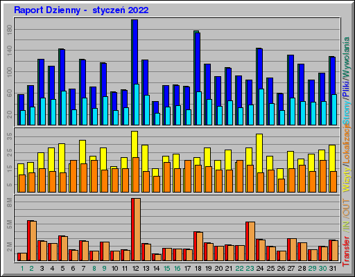 Raport Dzienny -  styczeń 2022