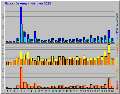 Raport Dzienny -  sierpień 2022