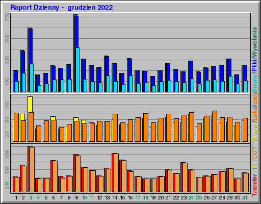 Raport Dzienny -  grudzień 2022
