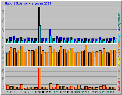 Raport Dzienny -  styczeń 2023